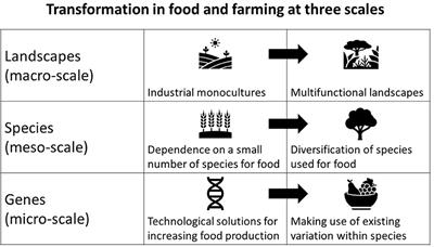 Catalyzing transformative futures in food and farming for global sustainability